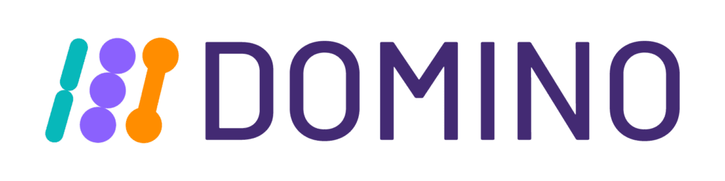 DOMINO logo.