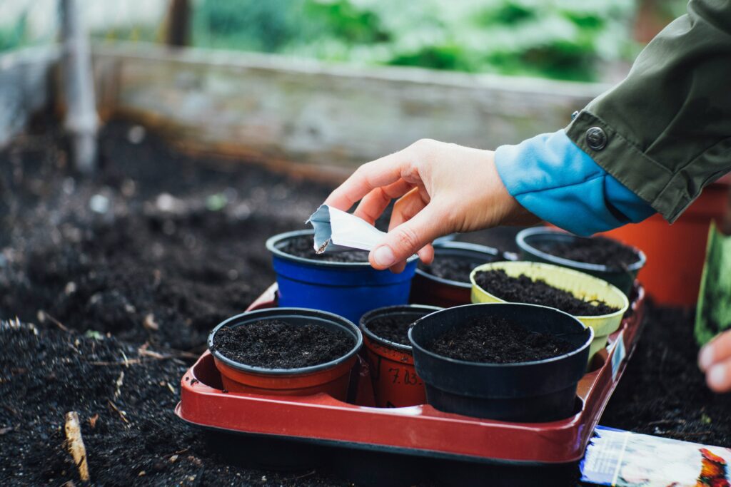 A hand planting seeds in pots.